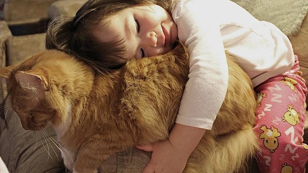 31 случай, когда коты были по-настоящему добрыми 31 случай, когда коты были по-настоящему добрыми коты, позитив, добро, животные, дети
