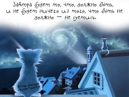 Премудрости в картинках, умные и смешные фразы.