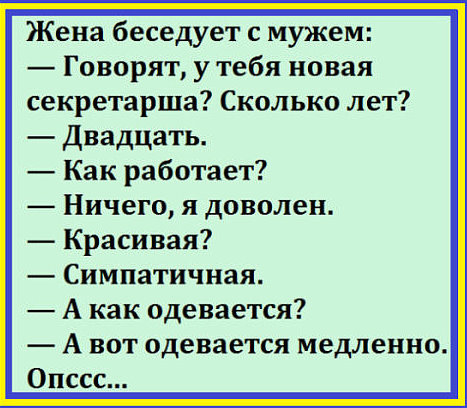 Приехали американские туристы в Россию...