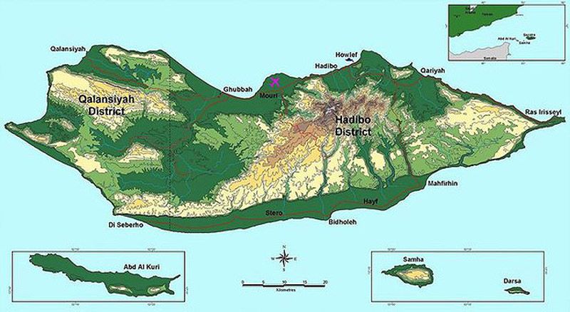 Socotra01 Удивительный остров Сокотра