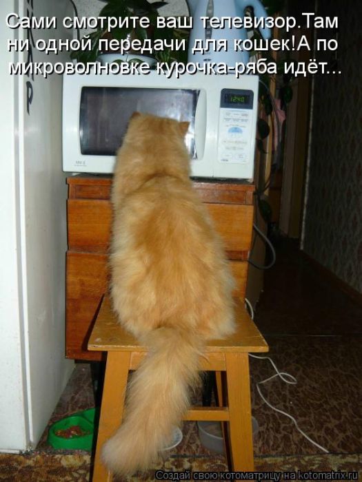 Котоматрицы великолепные, каждая с кусочком тепла, позитива и улыбкой! Котоматрицы великолепные, каждая с кусочком тепла, позитива и улыбкой!