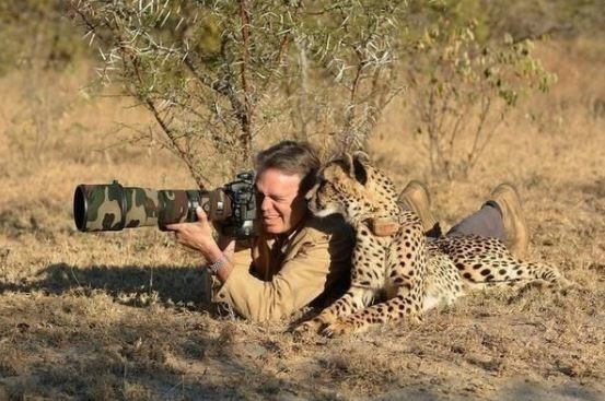 17 фото животных, сделанных в самый нужный момент
