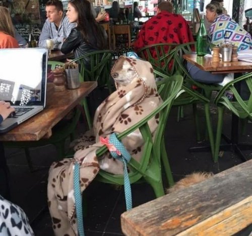 Прикольные картинки для всех (47 шт) Прикольные картинки для всех (47 шт)