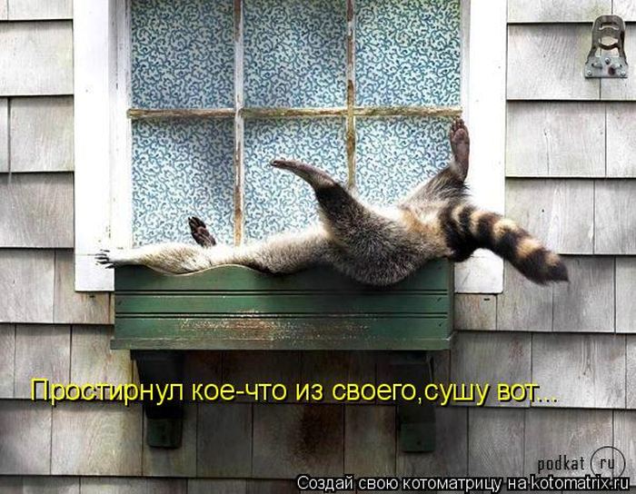 Мысли вслух :)