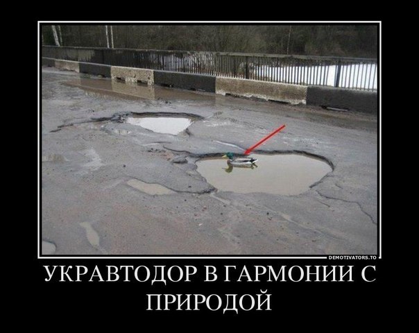 Подборка смешных демотиваторов для поднятия настроения (12 фото) Подборка смешных демотиваторов для поднятия настроения (12 фото)