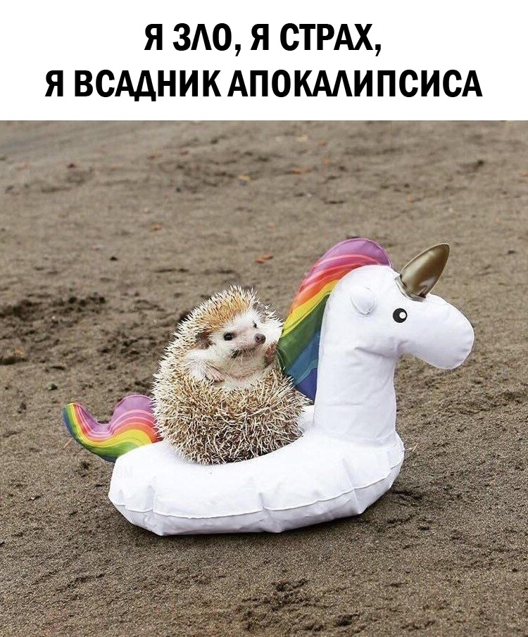 Прикольные комментарии из соцсетей Прикольные комментарии из соцсетей