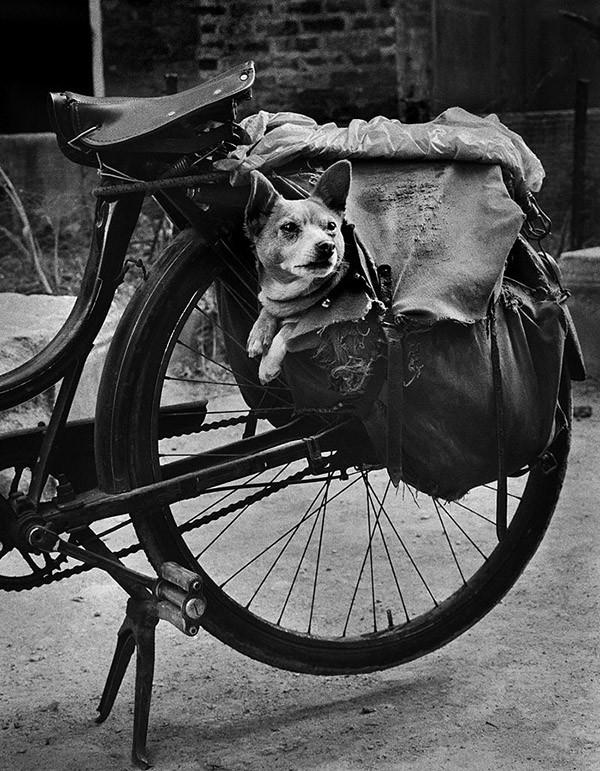 BnWphotos32 50 �������� ����� ����� ������� �� �������� ����������