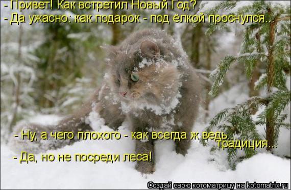 Котоматрицы новогодние великолепные, каждая с кусочком тепла, позитива и улыбкой!