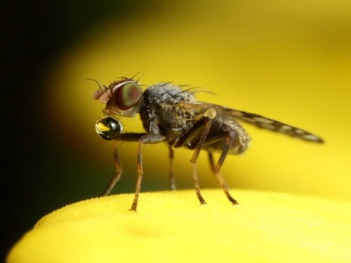 ��������������� John Cogan