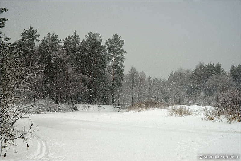 Фото зимы