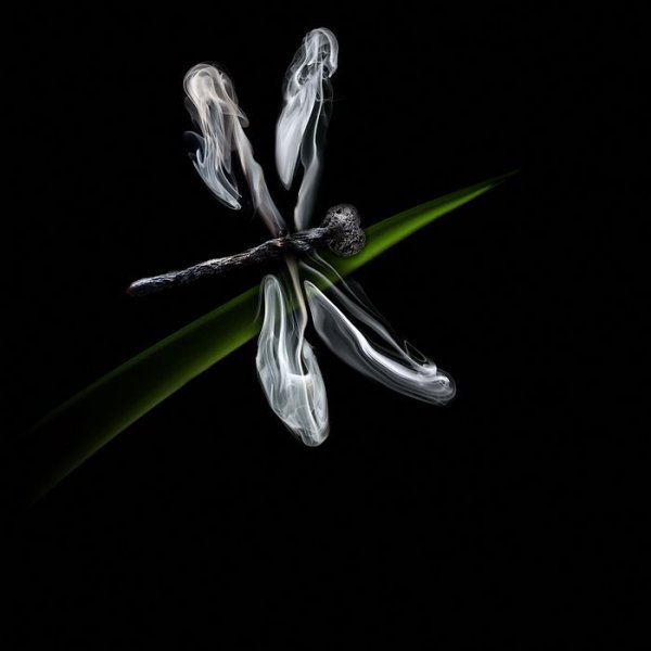 Креативные картины из горящих спичек (24 фото) Креативные картины из горящих спичек (24 фото)