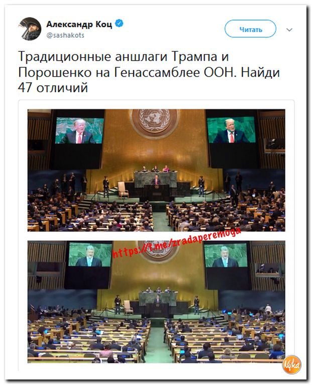 Злобные (сарказм) комментарии о последних событиях в мире Злобные (сарказм) комментарии о последних событиях в мире
