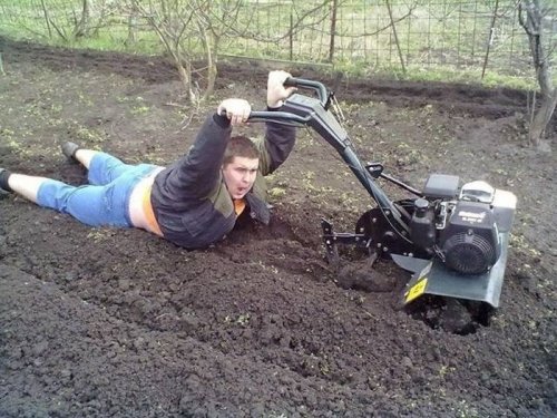 Прикольные картинки для всех (47 шт) Прикольные картинки для всех (47 шт)