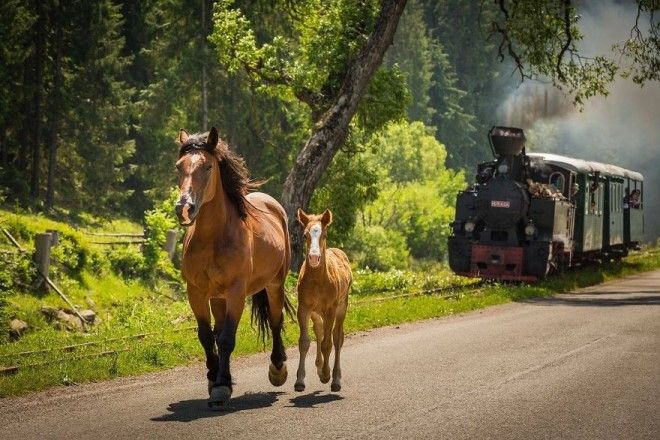 Не Дракулой единым 50 причин посетить Румынию
