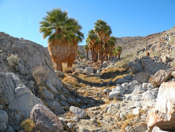 �������� ������� y� ������� ��� � ������� (17 ����)