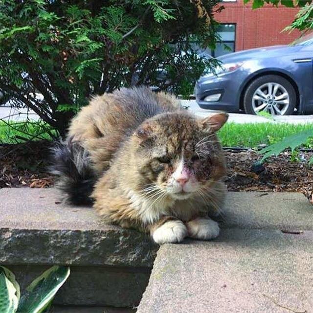 Взгляд, который разбил сердце девушке Взгляд, который разбил сердце девушке