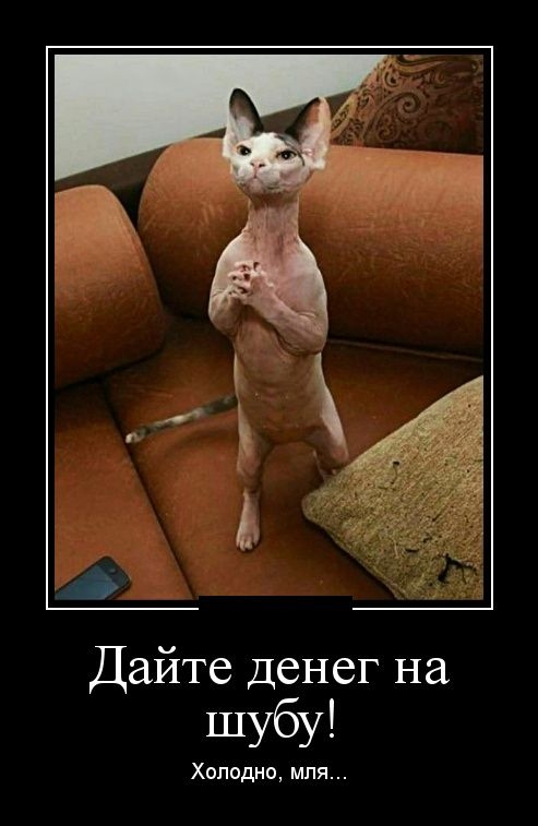 Демотиваторы Демотиваторы