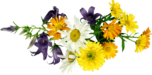 26740a0f35ad (500x246, 199Kb)