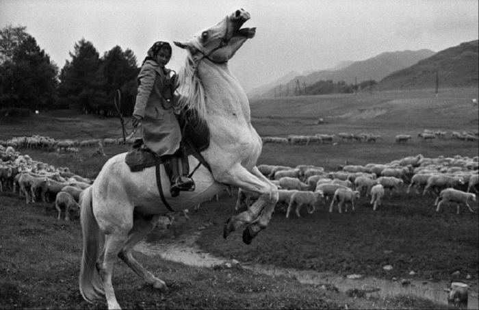 С раннего возраста цыгане знакомятся с лошадью и помогают взрослым пасти стада. СССР, Сибирь, село Онгудай, 30 июля 1980 года.