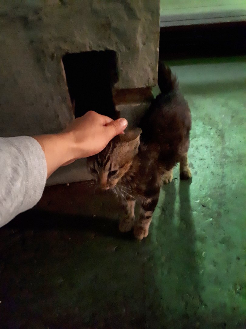 Эти люди живут, а рядом с ними пытаются отчаянно выжить. Помогите! Эти люди живут, а рядом с ними пытаются отчаянно выжить. Помогите!