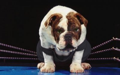 Классификация мужчин