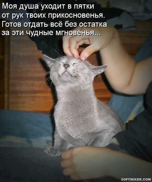 fc50d7f39b00adcecd7ed85edf1