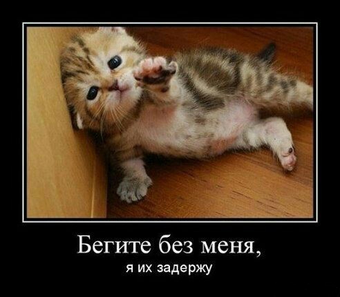 Прикольные демотиваторы (30 фото) Прикольные демотиваторы (30 фото)