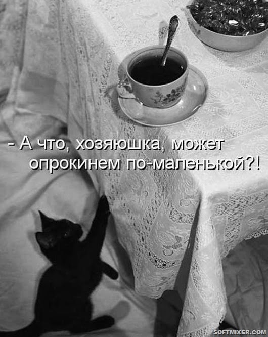 84e26c9e7749b978698492bddca