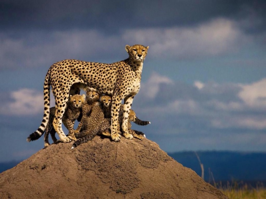 25 поразительных фотографий 25 поразительных фотографий