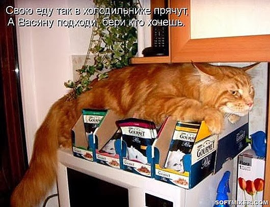 a0b2464aaf5407768e9c836bbae_prev