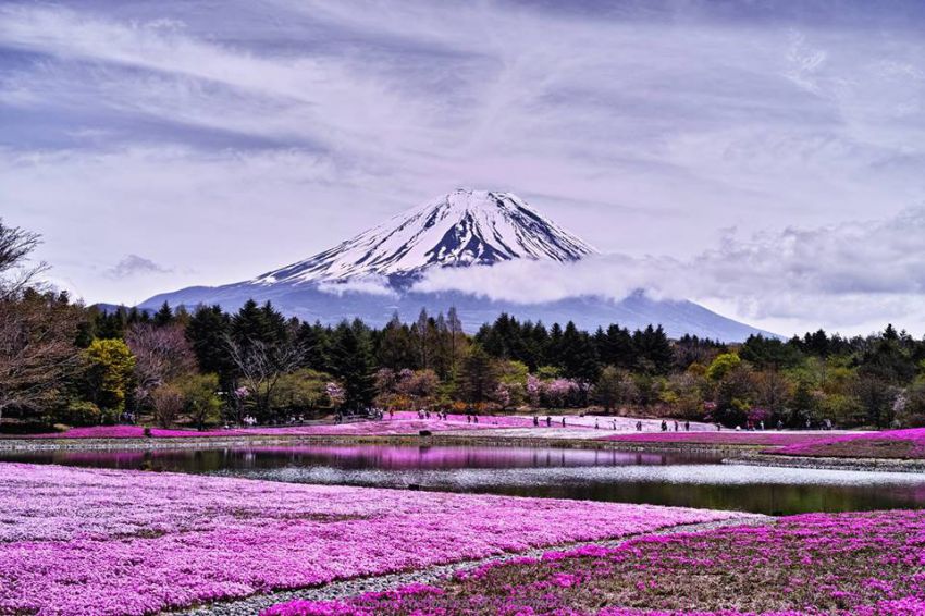 Самый красивый в мире вулкан фудзияма, фудзи, фудзи-сан, япония, вулкан