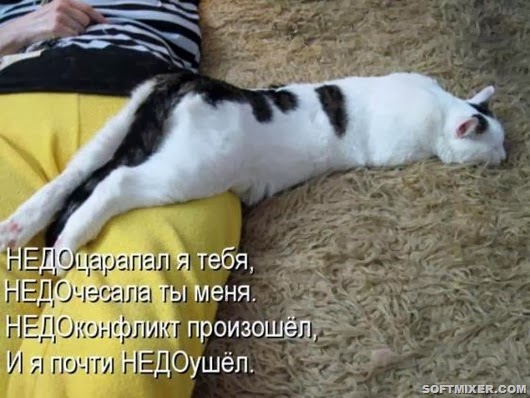 31315401b0c0fdffed0c8676fc2_prev