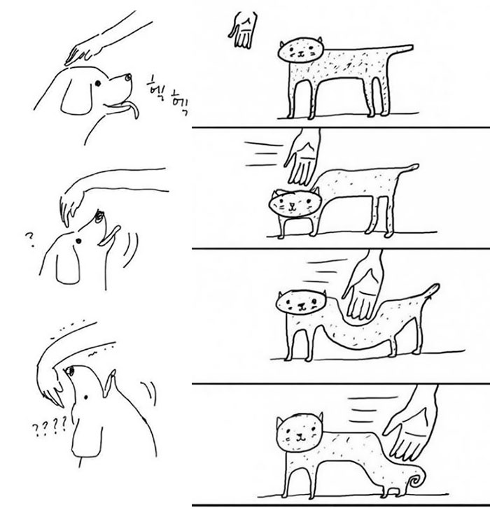 Funny Cats Vs. Dogs Comics