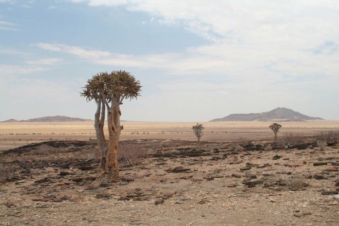 исторический парк Берег скелетов исторический парк Берег скелетов