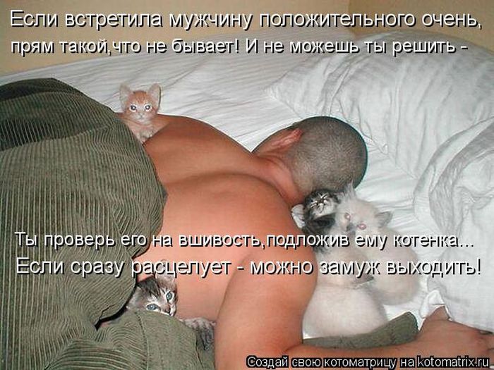 Котоматрицы великолепные, каждая с кусочком тепла, позитива и улыбкой! Котоматрицы великолепные, каждая с кусочком тепла, позитива и улыбкой!