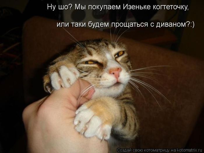 Котоматрицы великолепные, каждая с кусочком тепла, позитива и улыбкой! Котоматрицы великолепные, каждая с кусочком тепла, позитива и улыбкой!
