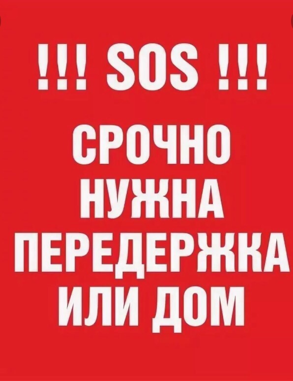 Крик о помощи...