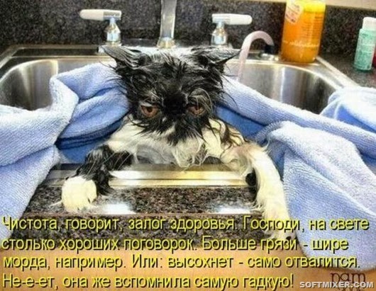 9700c3d2808fb6b682bac194ca4_prev