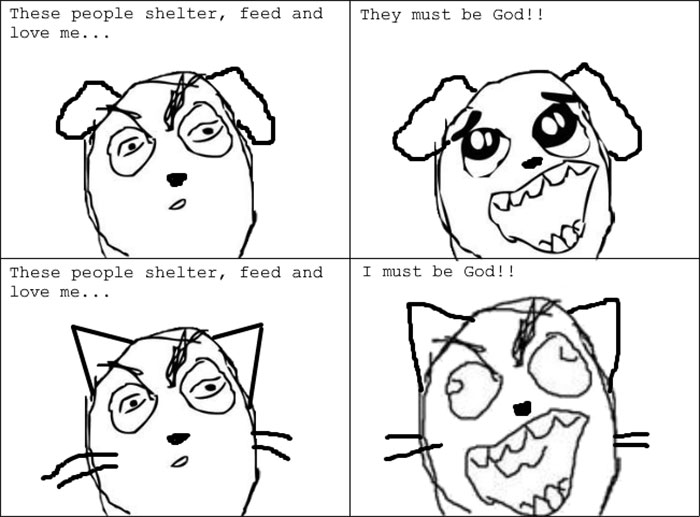 Funny Cats Vs. Dogs Comics