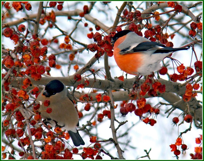 �� ������� �������...