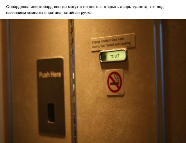 Познавательные факты о полетах на самолетах Познавательные факты о полетах на самолетах