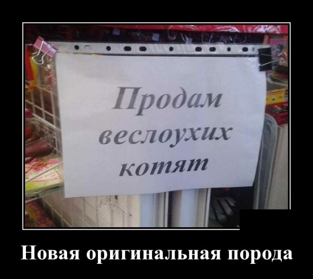 Демотиваторы Демотиваторы