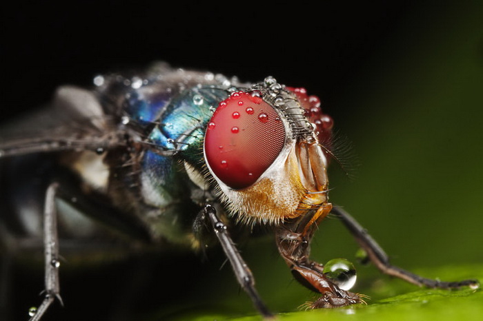 ��������������� John Cogan