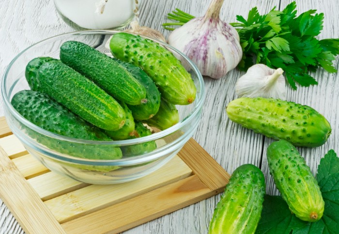 Правильный сбор урожая и хранение продлят свежесть урожая / Фото: v.img.com.ua 8 способов продлить свежесть огурцов в домашних условиях
