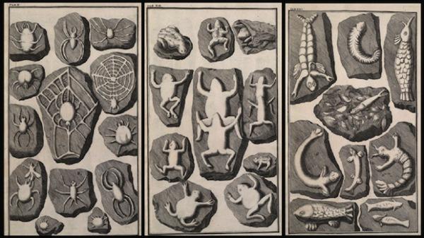 5 учёных, пытавшихся научно доказать существование Бога