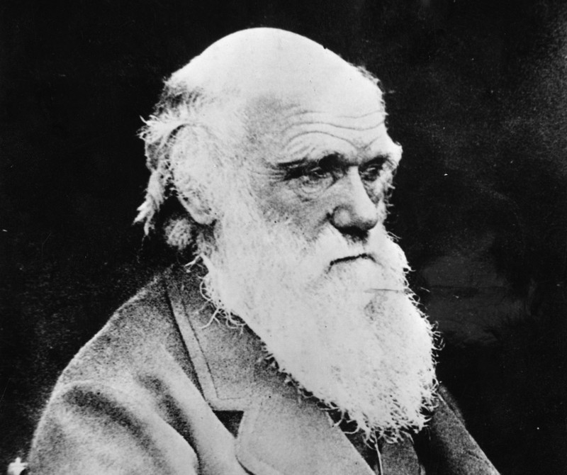 2. Чарльз Дарвин. известные люди, интроверты, учёные