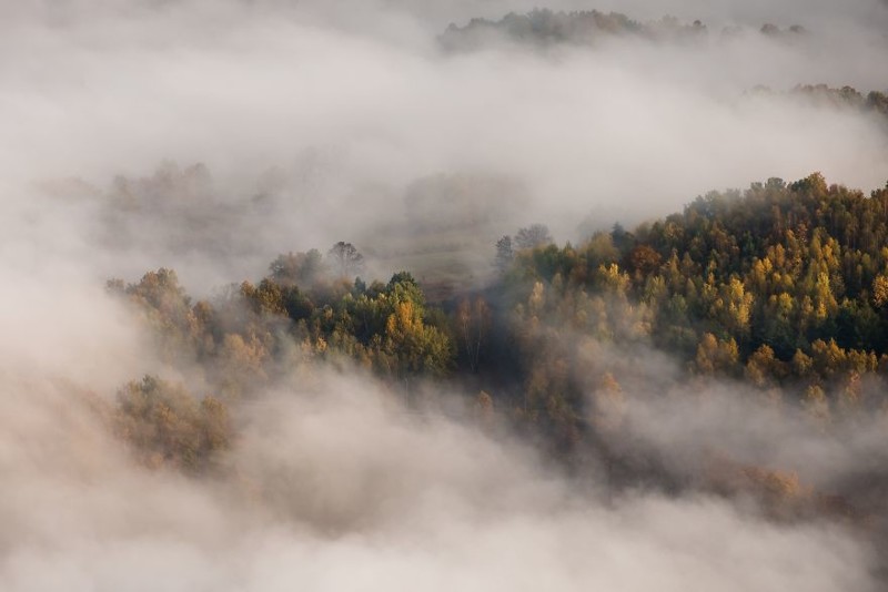 Туманная осень в Польских Судетах Польша, Судетская область, горы, красота, красота природы, национальный парк, осень, туман