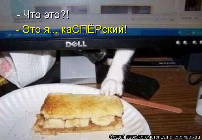 Котоматрицы великолепные, каждая с кусочком тепла, позитива и улыбкой! Котоматрицы великолепные, каждая с кусочком тепла, позитива и улыбкой!