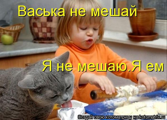 Котоматрицы великолепные, каждая с кусочком тепла, позитива и улыбкой! Котоматрицы великолепные, каждая с кусочком тепла, позитива и улыбкой!