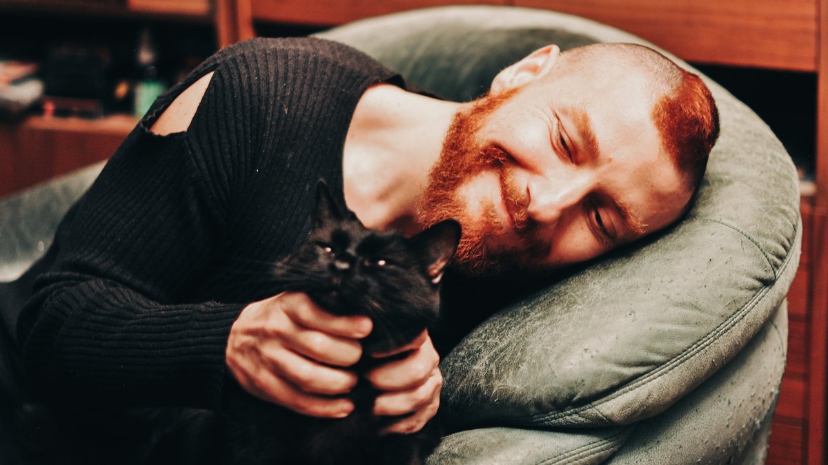 «Я реву, я смеюсь». Как нас поддерживают коты-утешители